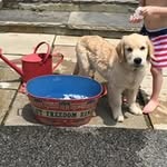 Lee Cain - @leeyeagercain - Instagram