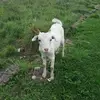 Lee Yeo - @lee.yeo3 - TikTok