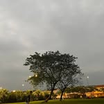 Lee Yung Ivy - @leeyungivy - Instagram