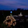 LEEYUNG 💝 - @tiktok.comkaylee23 - TikTok