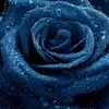 lee.zee - @lee.zee123 - TikTok
