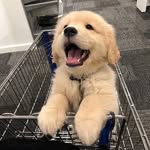 Lee Zeng Feng - @leezengfeng_ - Instagram