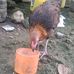 Lee Zheng - Facebook