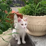 leezeng - @leezeng9 - Instagram
