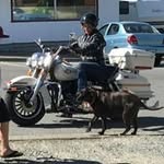 Lee Zubert - @leezubert - Instagram