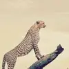 leeannalexander04 - @leeannalexander04 - TikTok