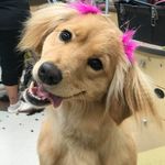LeeAnn Baker - @leeann.peart - Instagram