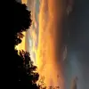 Leeann Barton - @illegal_alien_ - TikTok