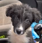Lee-Ann Bruce - Facebook