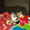 Lee Ann Cook - @lee.ann.cook5 - TikTok