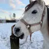 Leeann Estes - @leeann305 - TikTok