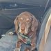 LeeAnn Hendrickson - Facebook