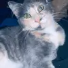 leeannhoward - @leeannhoward8 - TikTok