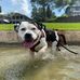 LeeAnn Kelley - Facebook