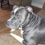 Leeann Lambert - @momtookie - Instagram