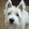 LeeAnne M. Lambert - @leeannem.lambert - TikTok