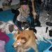 LeeAnn Lewis - Facebook