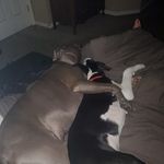 Leeann Lewis - @leeann.lewis.54 - Instagram