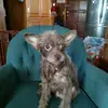 leeannmaynard - @leeannmaynard - TikTok