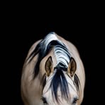 Leeann Mcbride - Facebook