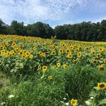 Leeann Murray - @leeanns_camera_roll - Instagram