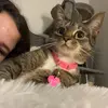 i 🩷 leeann - @leeanns.fan.page - TikTok