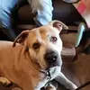 leeannpowell175 - @leeannpowell175 - TikTok