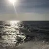LeeAnn Scott651 - @leeannscott651 - TikTok