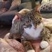 LeeAnn A Shaw - Facebook