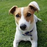 Leeann Woods - @leeannwoodsinsta - Instagram