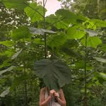 Leeanna Thomas - @raising_children_in_the_wild_ - Instagram