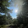leeannathomas1 - @leeannathomas1 - TikTok