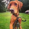 leeannebennett72 - @leeannebennett72 - TikTok
