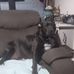 Leeanne Johnson - Facebook
