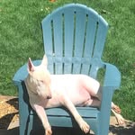 Leeanne Sutton Mitchell - @lmitchell5050 - Instagram