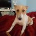 Leanne Sheppard - Facebook