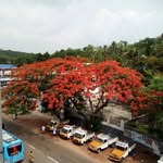 Leeba Babu - @bijithkbabu2 - Instagram