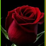 Leeba Babu - @leeba.babu.3597 - Instagram