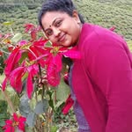 Leena John - @leena.john.980 - Instagram