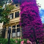 Lina Az - @leena_saeed - Instagram