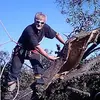 leeroymitchell901 - @leeroymitchell901 - TikTok