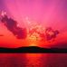 Leesa Cole - Facebook