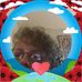 Leesa Perry - Facebook