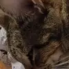 Leesa Perry - @leesa.perry - TikTok
