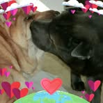 Lisa Reed - Facebook