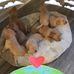 Leeza Smith - Facebook
