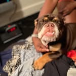 Lehman Smith - @smith.lehman - Instagram