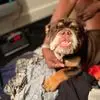 Lehman Smith - @lehman.smith - TikTok