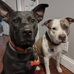 Lehman Smith-Jernigan - @lemon3095 - Instagram