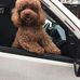 Lei Chun - Facebook